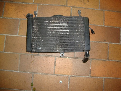 YZF 600 R Thundercat Kühler Wasserkühler Lüftermotor Lüfter Motor YZF 600 Kühler