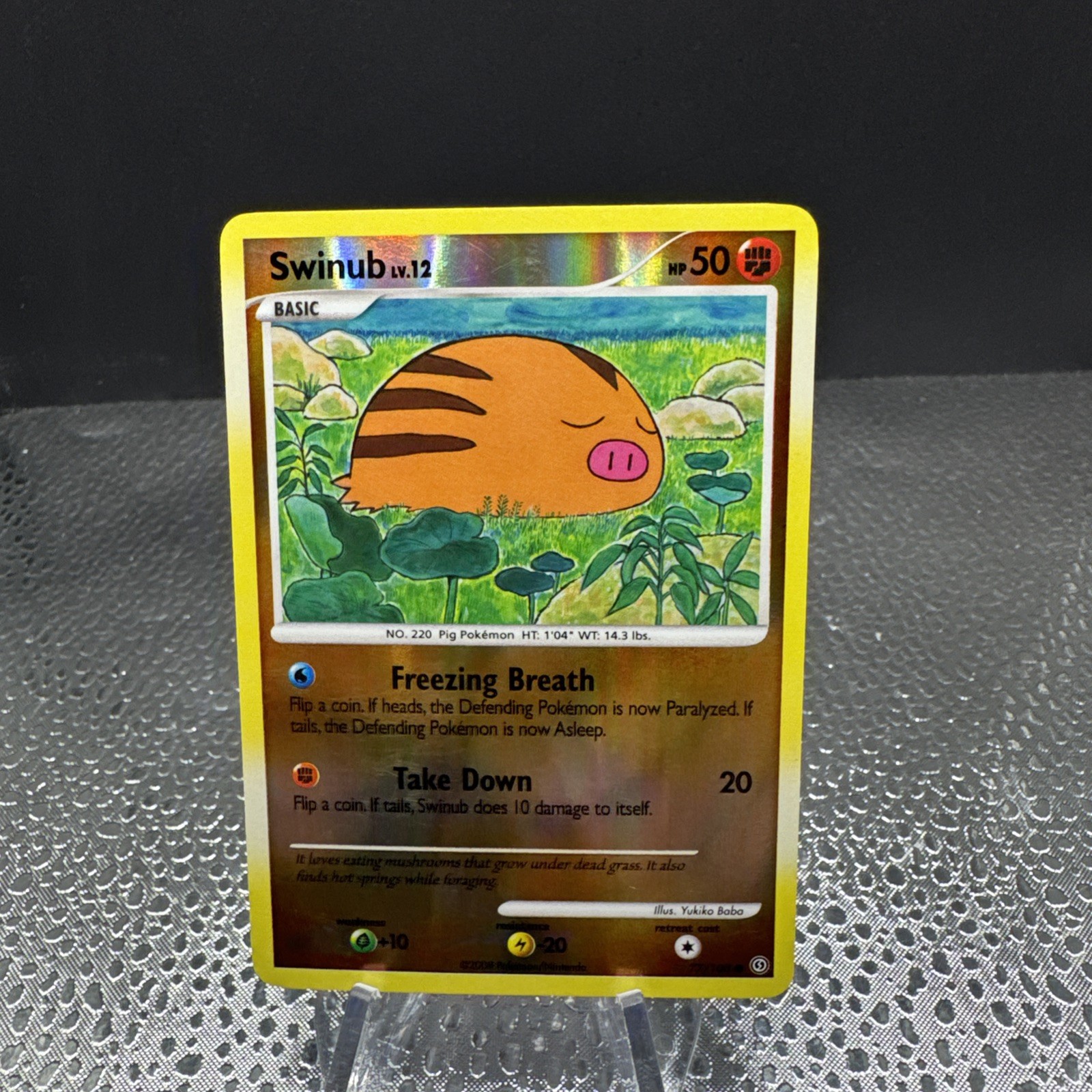 Pokemon TCG - Swinub 77/100 Reverse Holo 2008 Stormfront