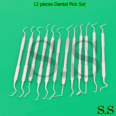 12 PIECE STAINLESS STEEL DENTAL PICK SET - EXCELLENT QUALITY BRAND NEW PR-0089