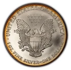 2001 1 oz Silver American Eagle - Fresh BU - Intricate Rim Toning - SKU-E2557