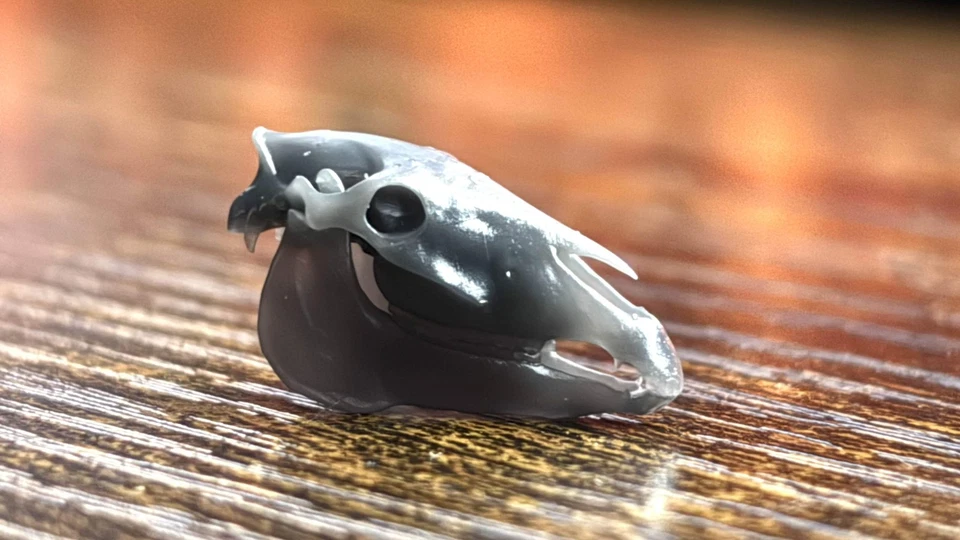 Modelo de calavera de caballo tipo stock a escala impresa en 3D Foto 3 de 3