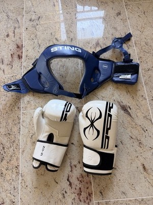 STING Boxausrüstung: Kopfschutz & Boxhandschuhe 12oz