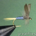1 dozen (12) - Blue Dun