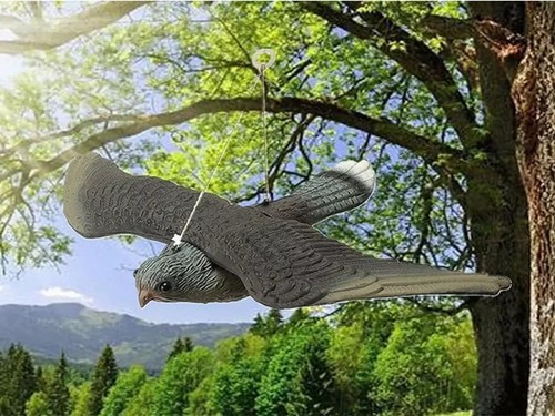 Falco Finto Spaventapasseri Dissuasore Statua Spaventa Scaccia Piccioni Uccelli - Foto 7 di 9