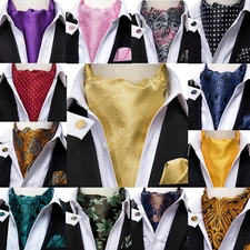 USA Men's Ascot Cravat Tie  Paisley Floral Check Hanky Cufflinks Set Wedding