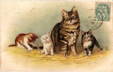 CPA AK CATS (1340990)