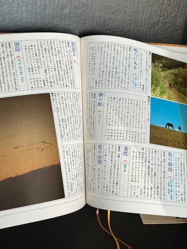 Japanese a four seasons yearly life encyclopedia 日本大歲時記 - 第 12/17 張圖片
