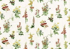 Mill Creek Fabric Floral Off White Yellow Green Drapery Upholstery