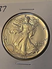 1987 American Silver Eagle 1 Troy Oz. .999 Fine Silver Coin