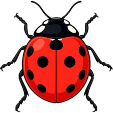 30 Custom Modern Ladybug Personalized Address Labels