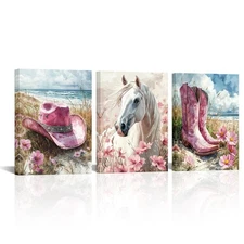 3 Pieces Pink Western Wall Art Canvas Prints Coastal Cowgirl Room Decor Flowe...