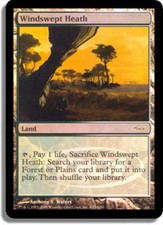 1 x Windswept Heath - Foil DCI Judge Promo - Unique & Misc. Promos - Moderate Pl