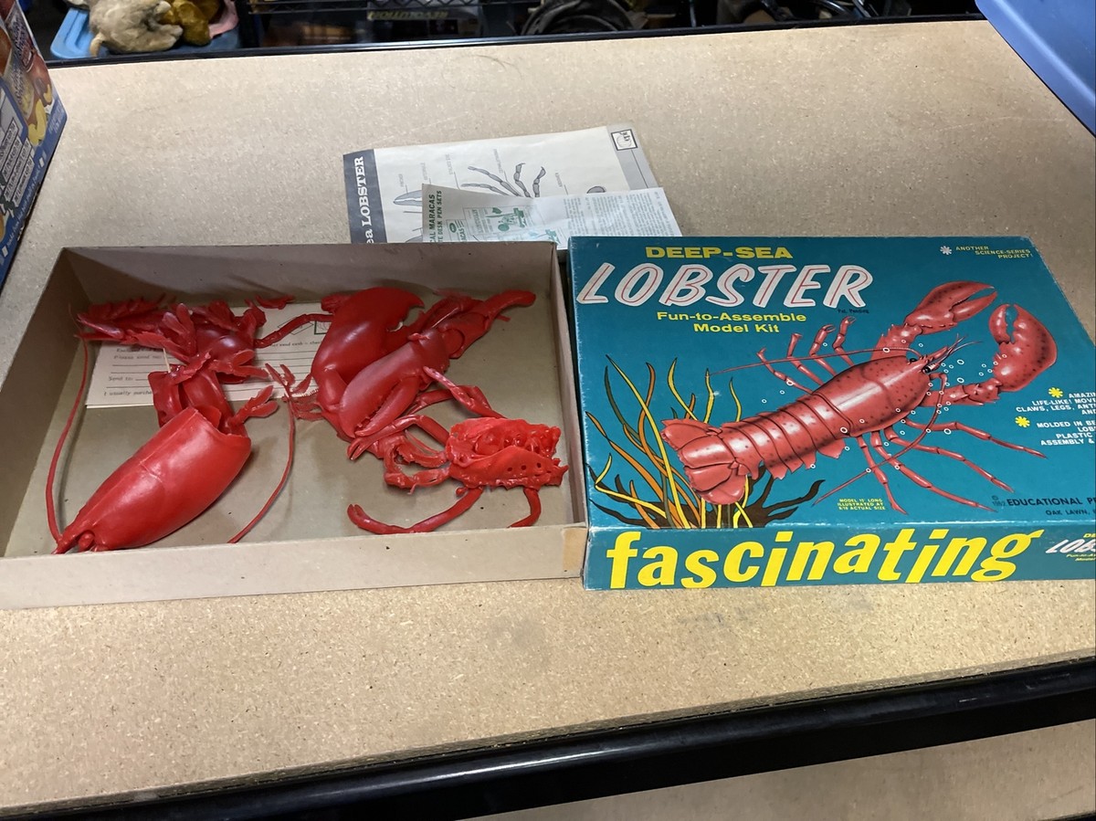 LOBSTER　nosejob＆ユニオンMサイズ LOBSTER nosejob＆ユニオンMサイズ LOBSTER nosejob＆ユニオンMサイズ