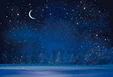 Yeele 9X6Ft Winter Night Snowfall Snowflake Photography Backdrops Starry Sky Moo