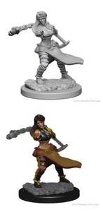 D&D Unpainted Minis Wv1 Human Female Monk NEW miniatures Dungeons & Dragons DND | eBay