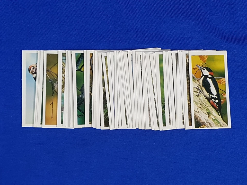 Carreras Black Cat Cigarette Cards BRITISH BIRDS Full set of 50 loose - Image 3 of 4