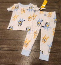 Bluey And Bingo 2 Piece Short Sleeve Shirt Pants Pajamas Child Toddler 4T New