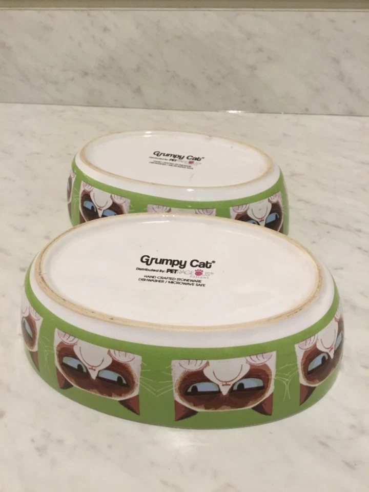 Juego de 2 cuencos de comida ovalados de gres para gatos y mascotas Petrageous Grumpy Cat Foto 4 de 4