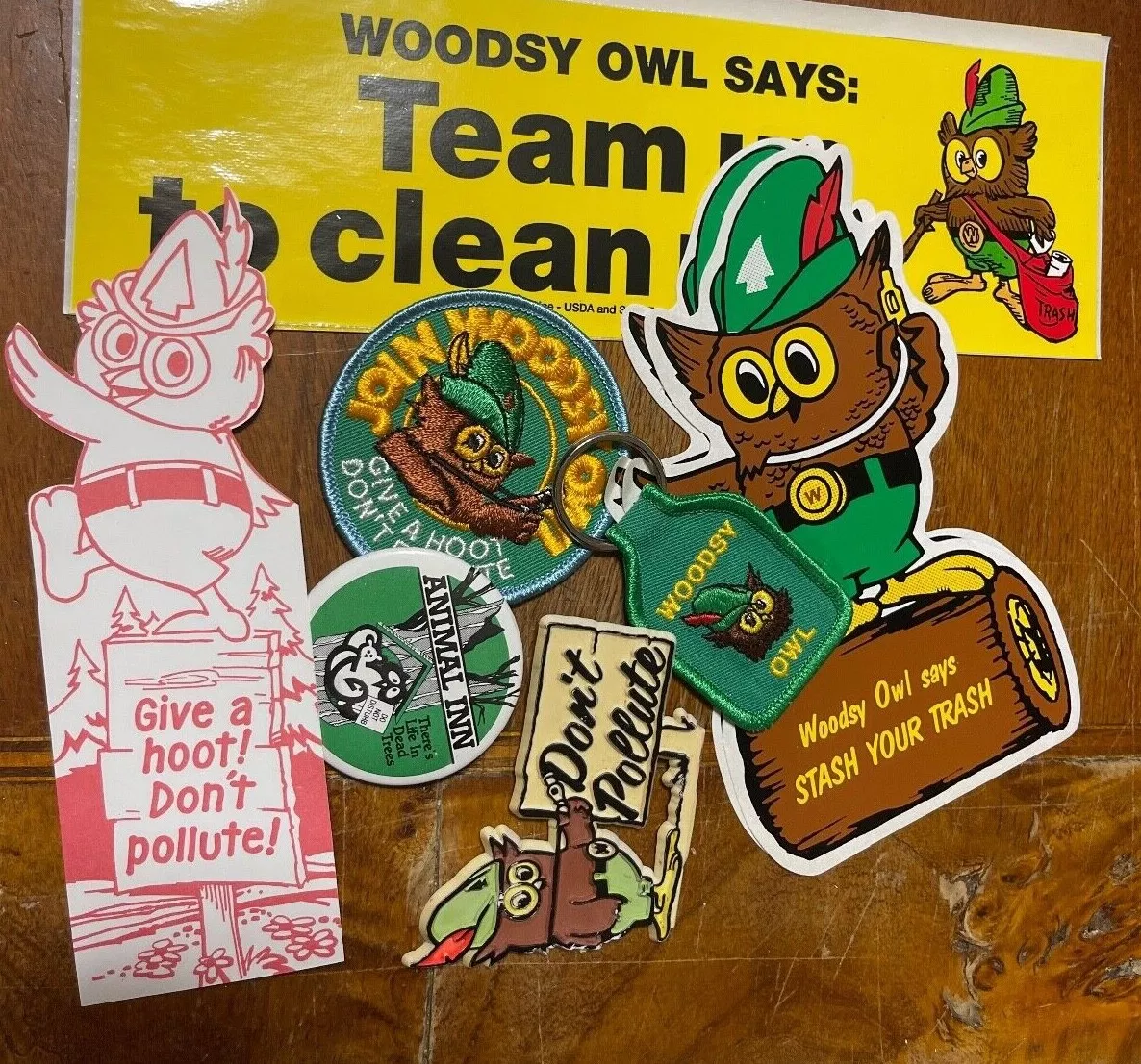 Give A Hoot Woodsy the Owl Trash Talker Gift Womens or Mens 