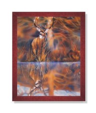Whitetail Buck Deer Big Antler Rack Animal Wildlife Cabin Lodge Picture Framed A