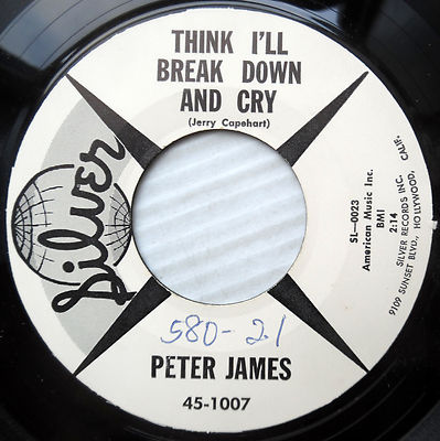 PETER JAMES 45 THINK I'LL BREAK DOWN AND CRY Mint- / THAT'S HOW I KNOW vg++ F148
