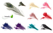 10 echte Pfauenfedern ca. 25-30cm Pfau Federn Natur Deko Pfauenaugen Schmuck Set