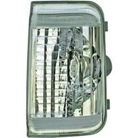 Spiegelblinker Rechts Passend FüR Fiat Ducato Baujahr 06->>