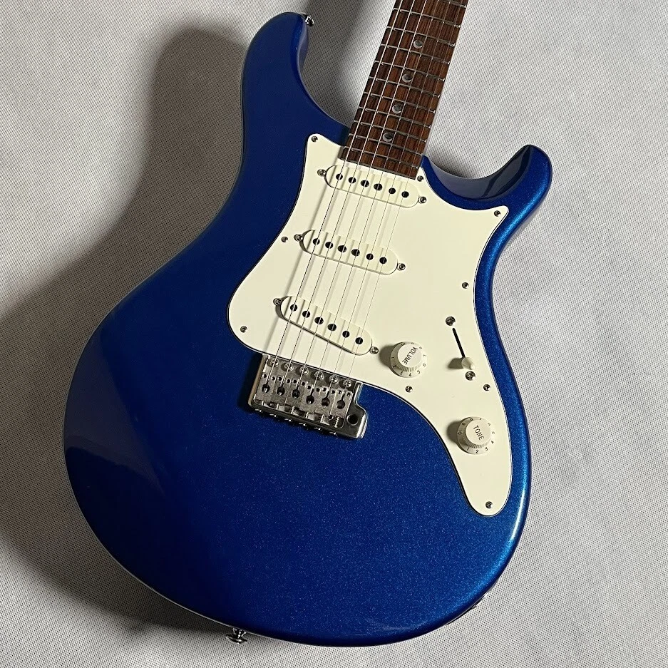 Paul Reed Smith PRS SE EG