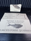 Possible Phareodus Fossil Fish Green River Formation Wyoming w/ Quarry Docs — photo 5