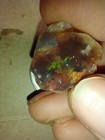15 Tcw Rough Australian Lightning Ridge Opal Multi Color Opal Water — photo 3