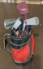 Golf Themed Home Bar Cocktail Shaker Mixing Bar Set Comes w/ 4 Clubs & Golf Bag