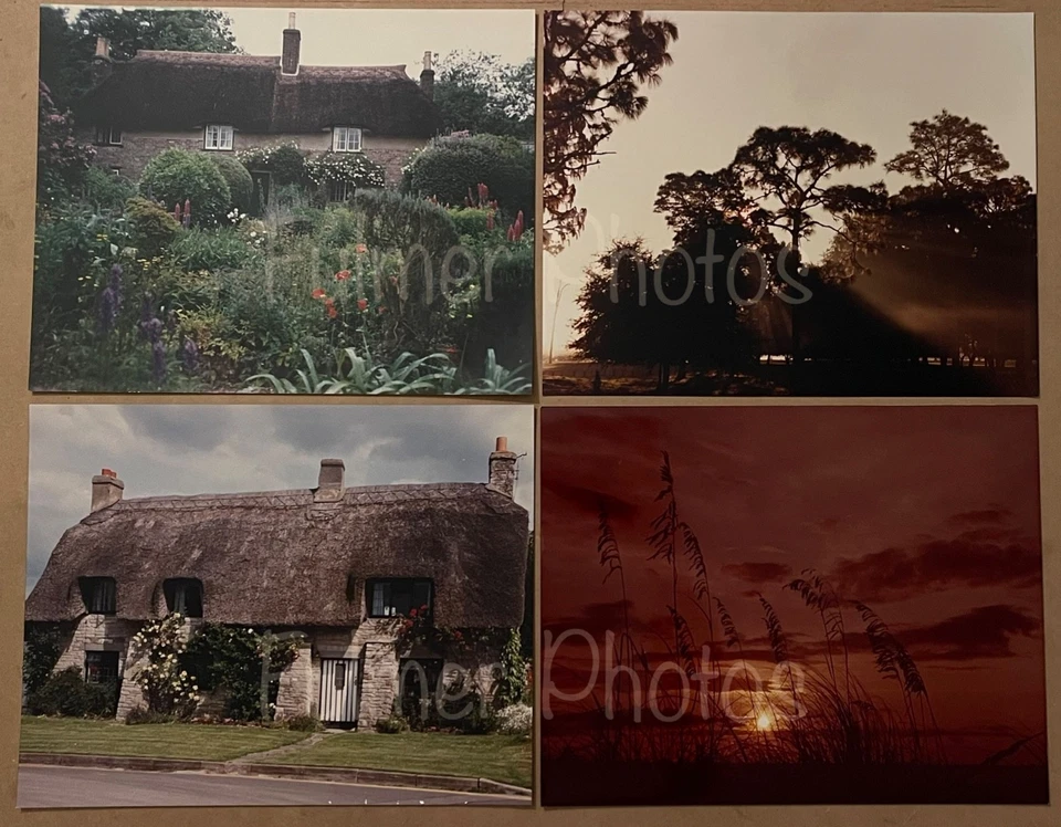 18 Pro VTG Color Photos 11x14 OUTDOOR NATURE Mountains Beach Sunsets Scenery COA - Image 3 of 4