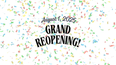 Pioneer DJ XDJ-XZ Professional All-in-One DJ System - Black with