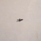 ELGIN 16 SIZE BALANCE STAFF #861 -0 SR  PIVOT 13 ---  BB-579