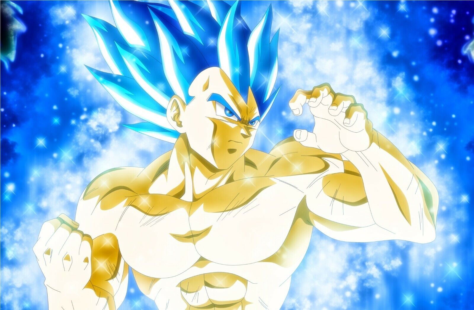 Vegeta Super Saiyan Blue Evolution Poster | Exclusive Art | Dragon Ball |  NEW