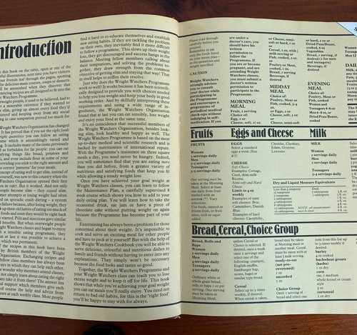 Vintage Weight Watchers Cookbooks x 2 -Barbecue + Cookbook over 250 New Recipes - Picture 13 of 21