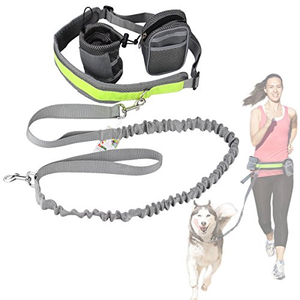 husky walking belt