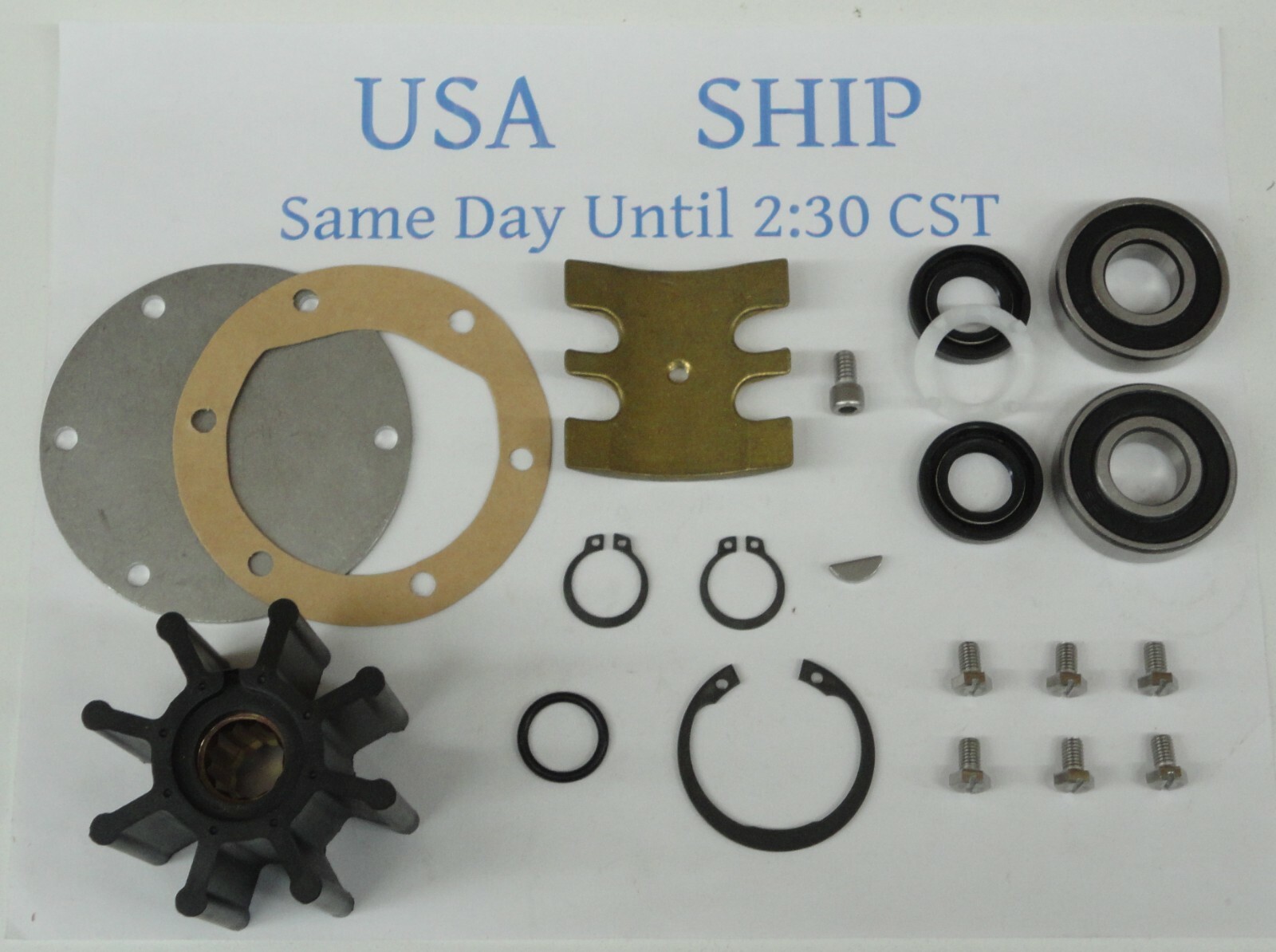 Major Repair Kit for Johnson Raw Sea Water Pump 102454201 Nanni