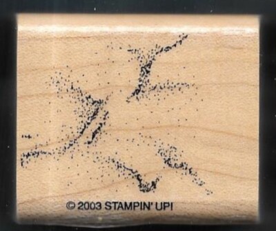 SAND DUST STORM American Cave Draw Prehistoric Painting Stampin Up! RUBBER STAMP