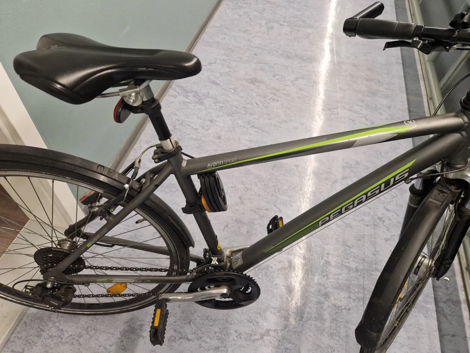 pegasus fahrrad 28 zoll herren