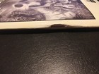 Picture 17 of 18