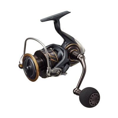 DAIWA spinning reel 22 Caldia SW 6000D-H (2022 model) | eBay