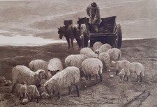 3 acqueforti originali di John MARIN e Charles MURRAY (2)