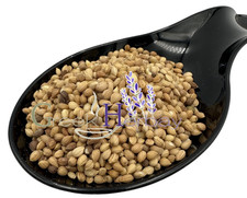 Mahlab Whole Prunus cherry Mahleb Mahlepi Mahlab Mahlep Seed 20 g - 2 kg