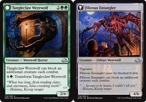 Tangleclaw Werewolf // Fibrous Entangler x4 - Eldritch Moon - NM-Mint, English -