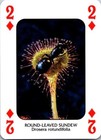 Bild 40 von 54