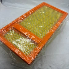 Air Filter Hastings AF1437