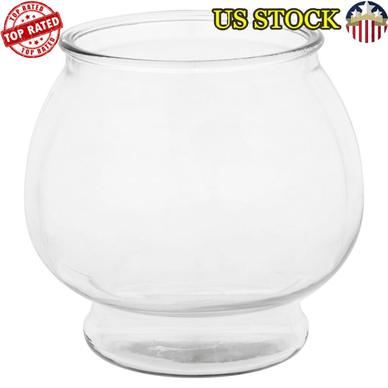 1 Gallon Footed Glass Fishbowl for Beginners – Home or Office Aquarium