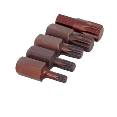 Torx Screwdriver Bits 5 Piece Set 12 Point Spline Head Screw Driver Bit with ...