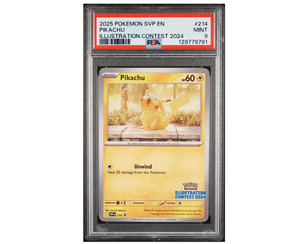 Pikachu 214 | eBay
